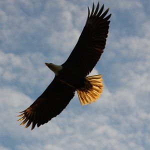 Meet your Posher, Adria